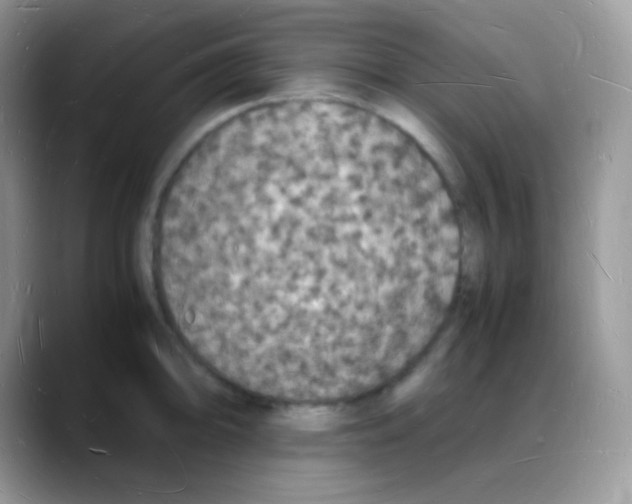 X0000088071094200706081704