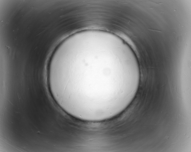 X0000088071096200706081704