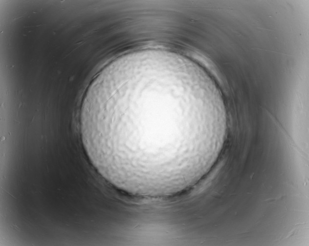 X0000088071097200706081704