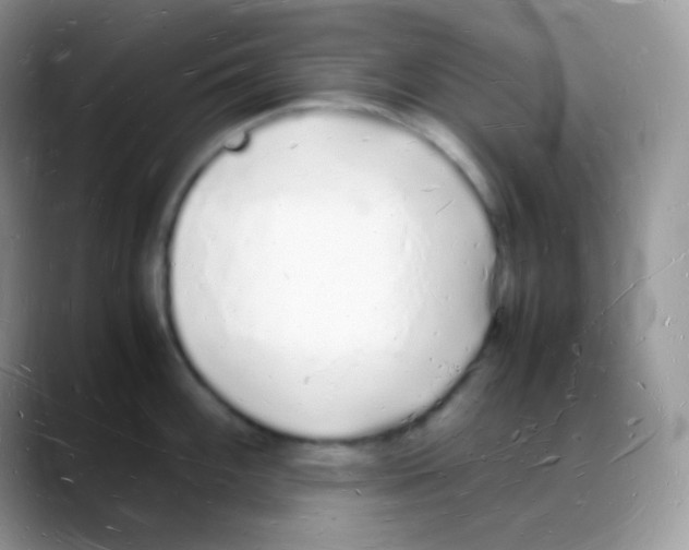 X0000088071100200706081704