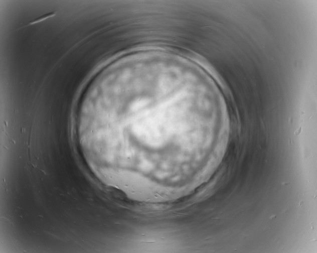 X0000088071101200706081704