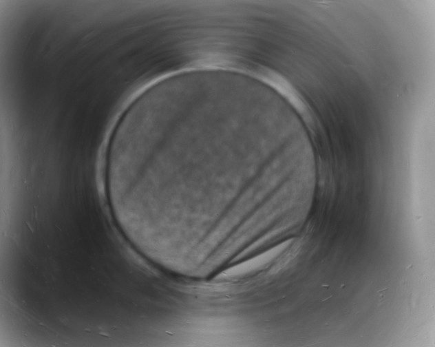 X0000088071102200706081704