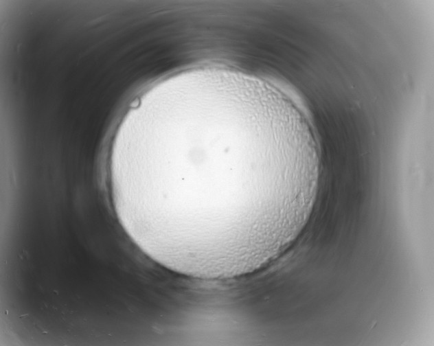 X0000088071104200706081704