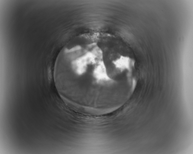 X0000088071106200706081704