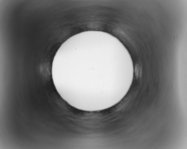 X0000088071107200706081704