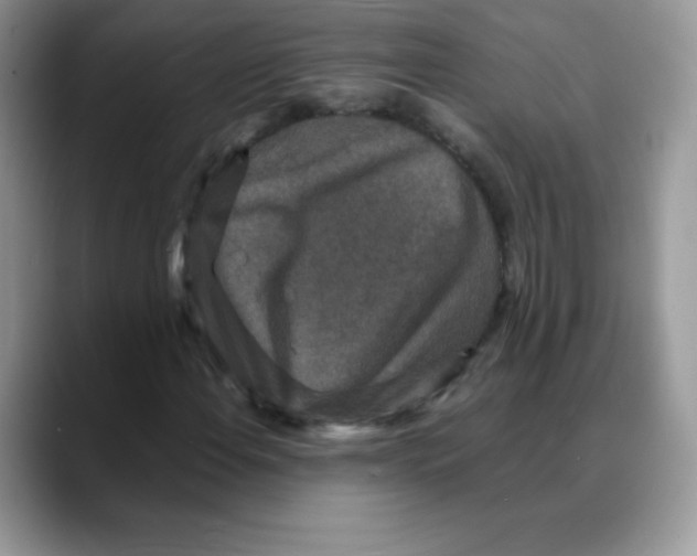 X0000088071108200706081704