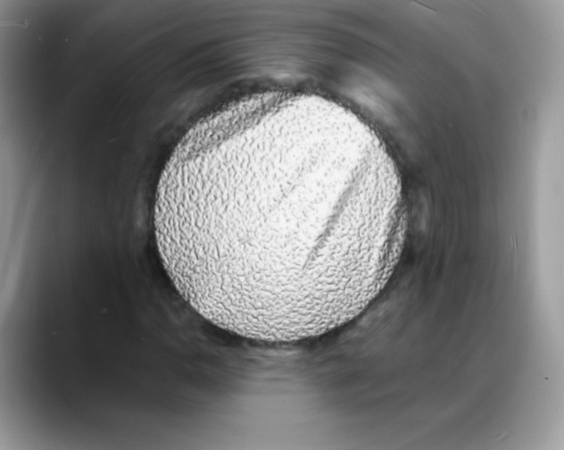 X0000088071110200706081704