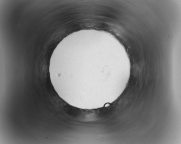 X0000088071111200706081704