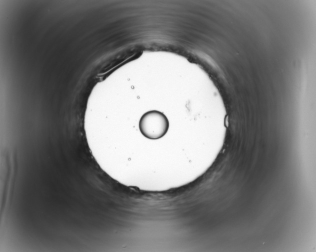 X0000088071112200706081704