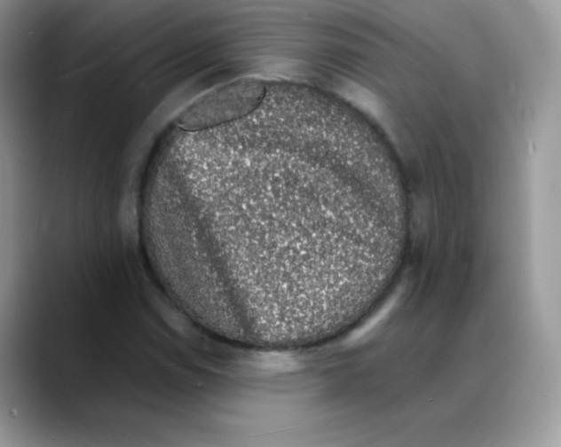 X0000088071114200706081704