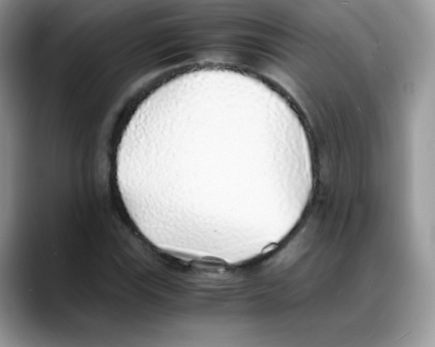 X0000088071115200706081704