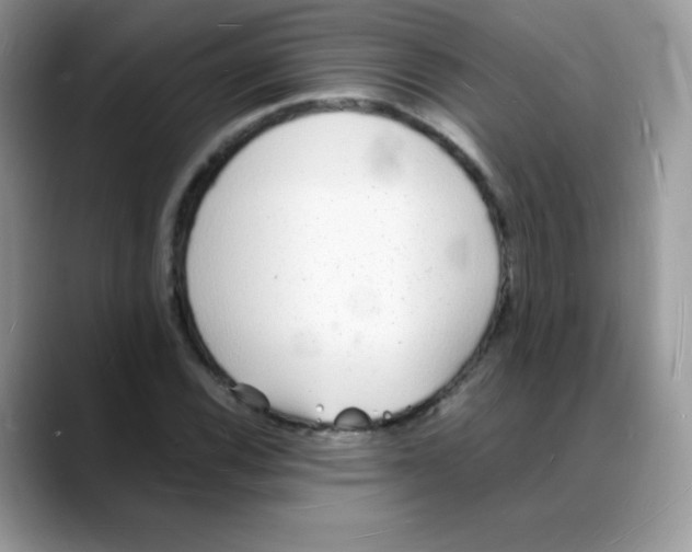 X0000088071116200706081704