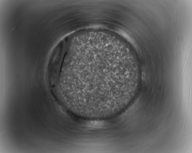 X0000088071117200706081704