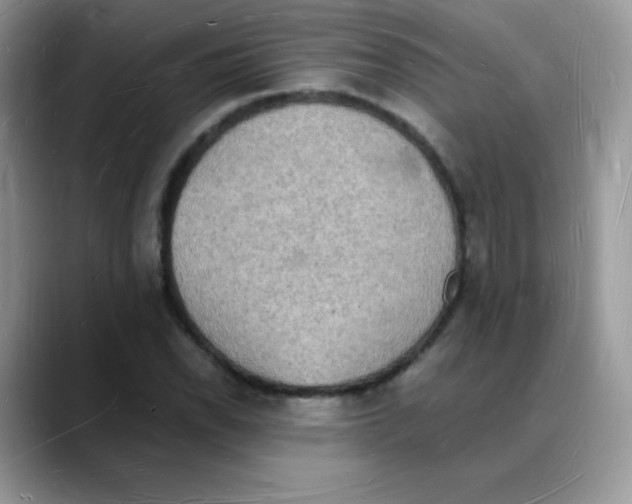 X0000088071118200706081704