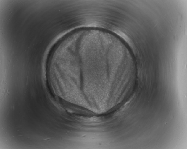 X0000088071120200706081704