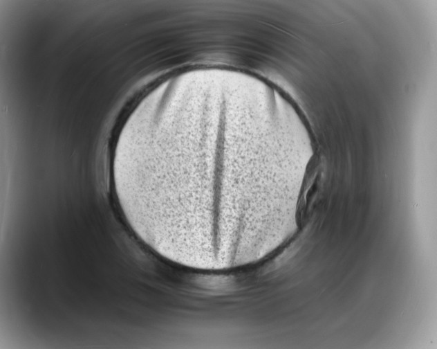 X0000088071123200706081704