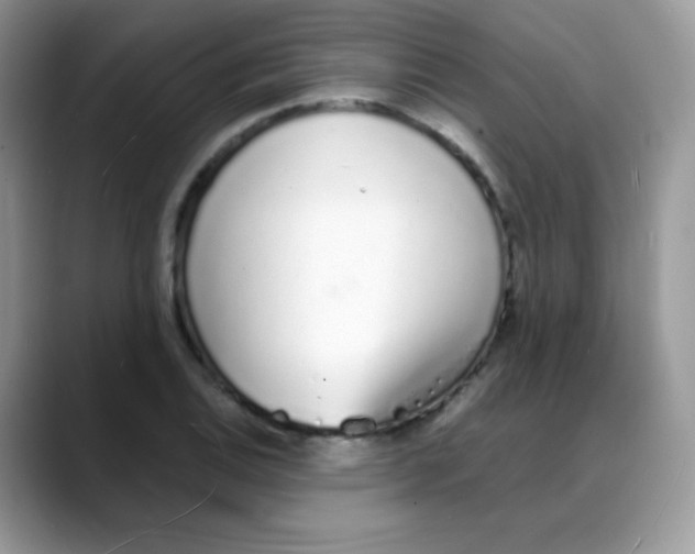 X0000088071124200706081704