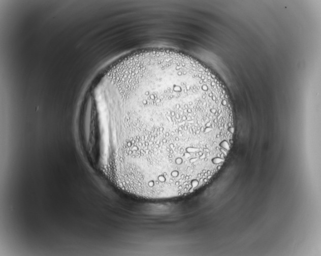 X0000088071125200706081704