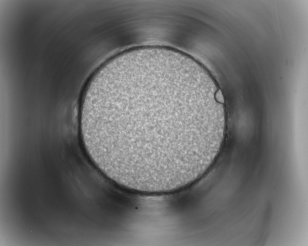 X0000088071126200706081704