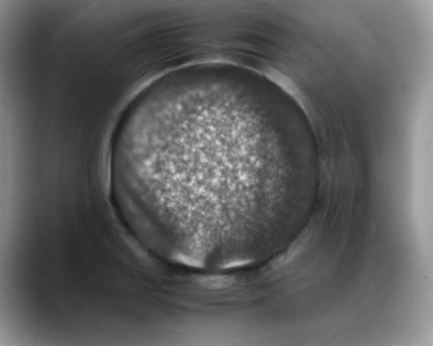 X0000088071127200706081704