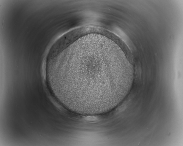 X0000088071128200706081704