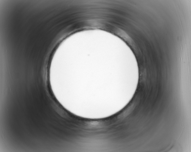 X0000088071130200706081704