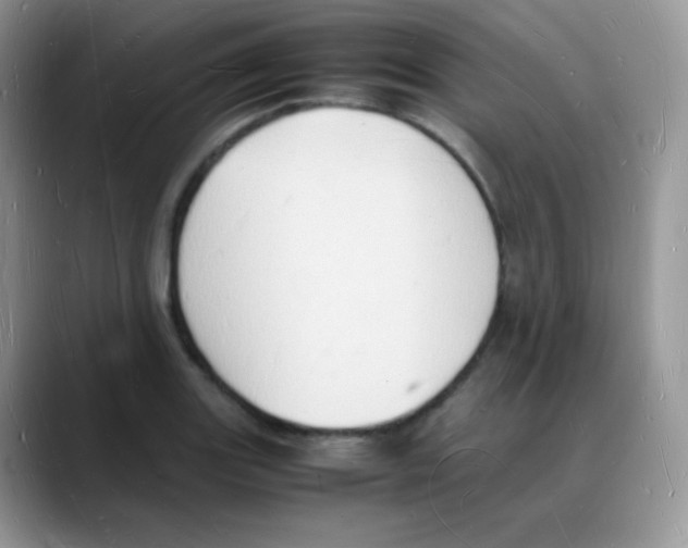X0000088071131200706081704