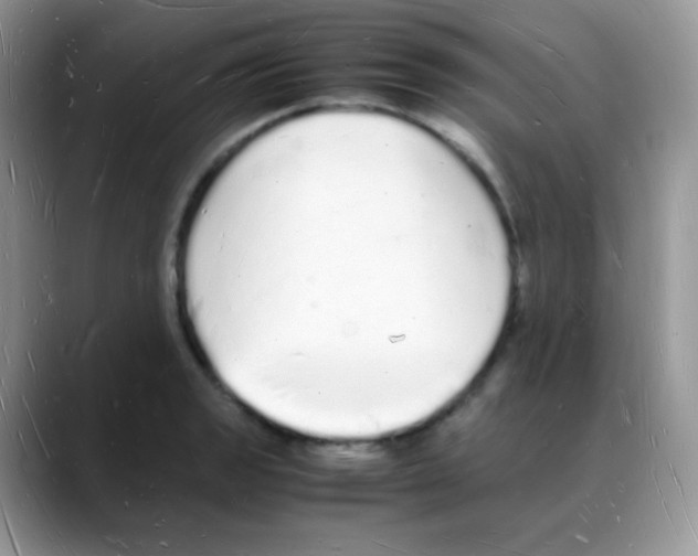 X0000088071133200706081704