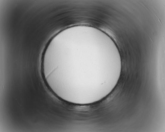 X0000088071135200706081704