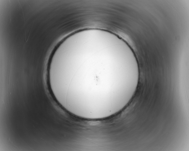 X0000088071136200706081704
