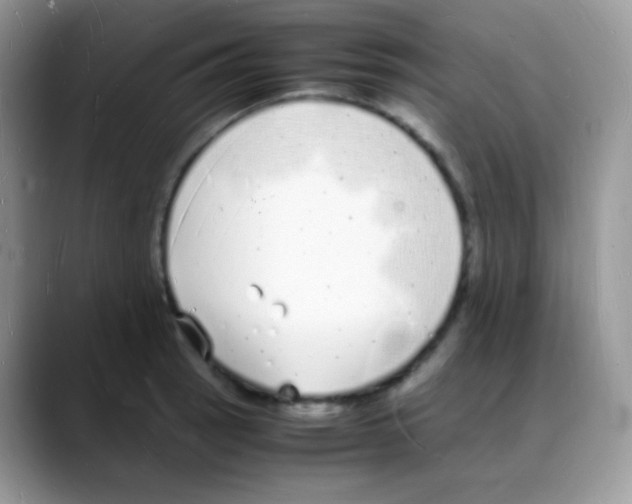 X0000088071137200706081704