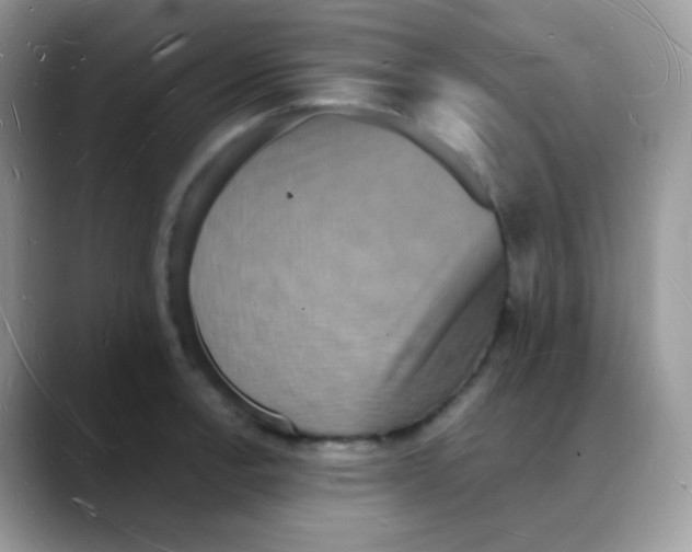X0000088071138200706081704