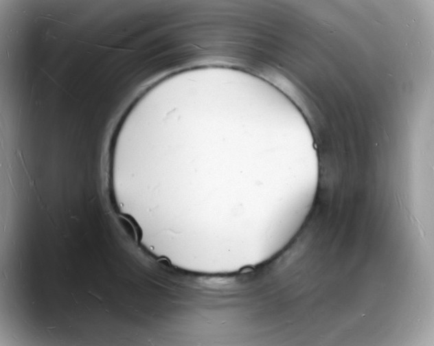 X0000088071140200706081704