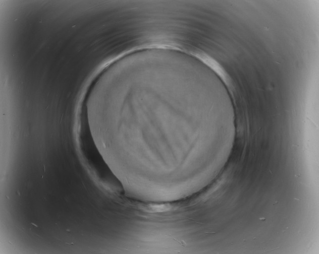 X0000088071144200706081704