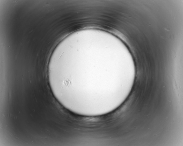 X0000088071145200706081704