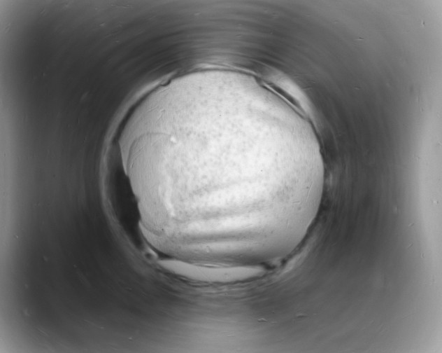 X0000088071146200706081704