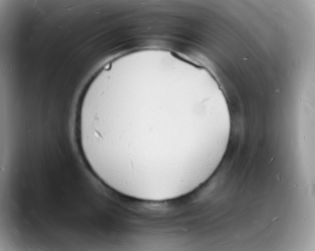 X0000088071147200706081704