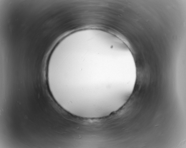 X0000088071148200706081704
