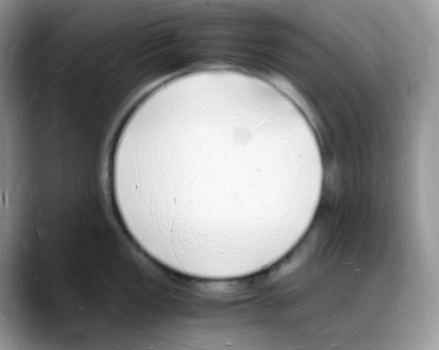 X0000088071149200706081704