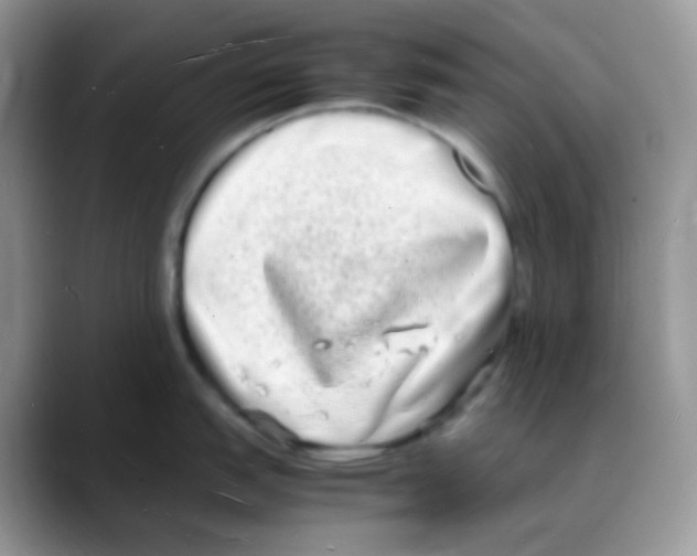 X0000088071151200706081704