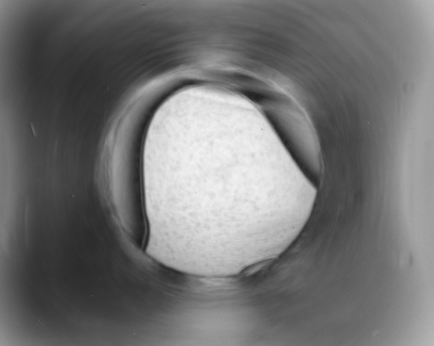X0000088071152200706081704