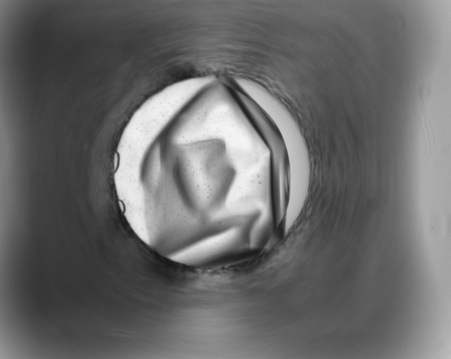 X0000088071153200706081704