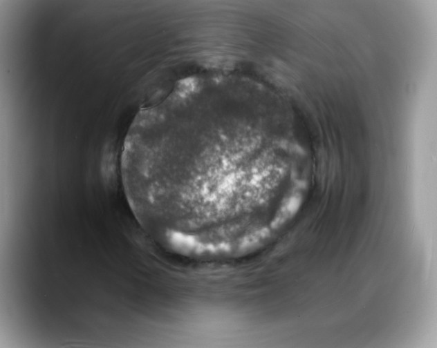 X0000088071154200706081704