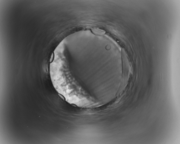 X0000088071155200706081704