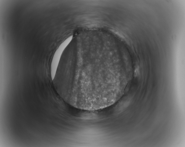 X0000088071156200706081704
