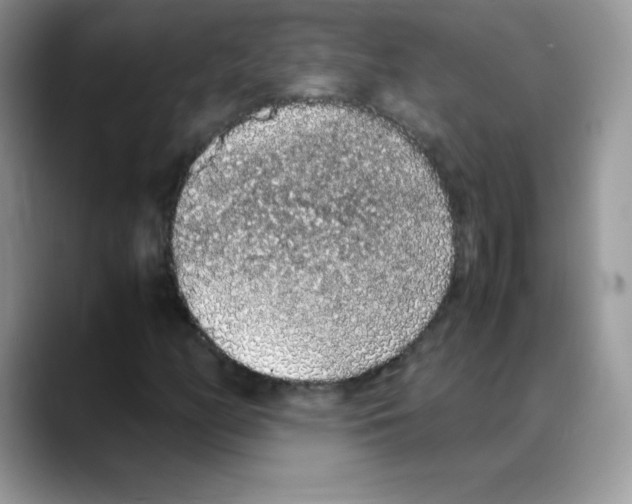 X0000088071158200706081704