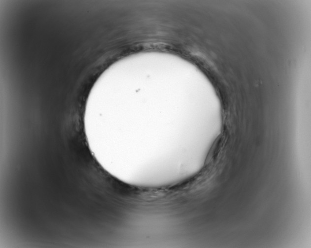 X0000088071159200706081704