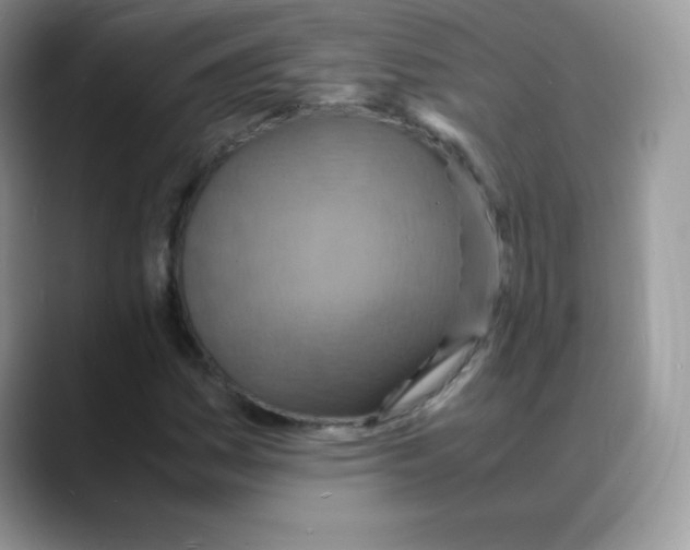 X0000088071161200706081704