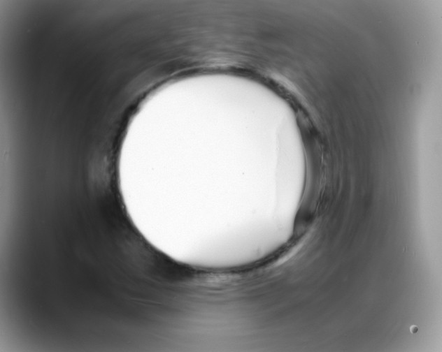 X0000088071163200706081704