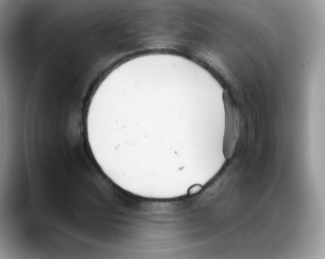 X0000088071164200706081704